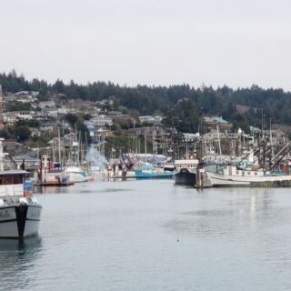 This Flat Oregon Coast Walk Takes You Past Harbor Seals, Fishing Boats, and Fresh Chowder Stops