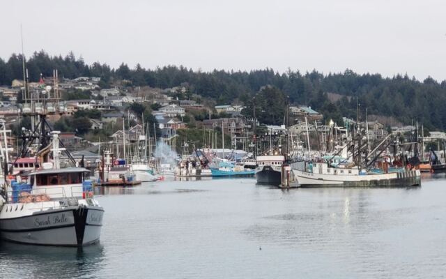 This Flat Oregon Coast Walk Takes You Past Harbor Seals, Fishing Boats, and Fresh Chowder Stops
