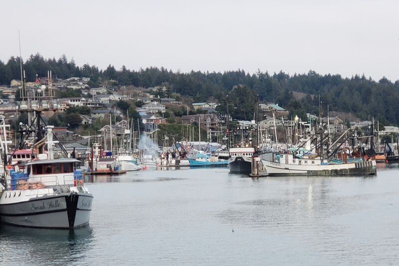 This Flat Oregon Coast Walk Takes You Past Harbor Seals, Fishing Boats, and Fresh Chowder Stops