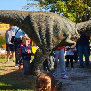 This Michigan Pumpkin Farm Has Train Rides, Corn Mazes, and Old-Fashioned Fall Fun