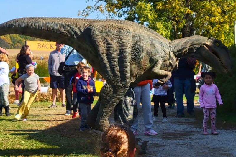 This Michigan Pumpkin Farm Has Train Rides, Corn Mazes, and Old-Fashioned Fall Fun