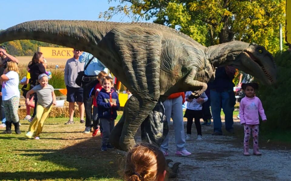 This Michigan Pumpkin Farm Has Train Rides, Corn Mazes, and Old-Fashioned Fall Fun