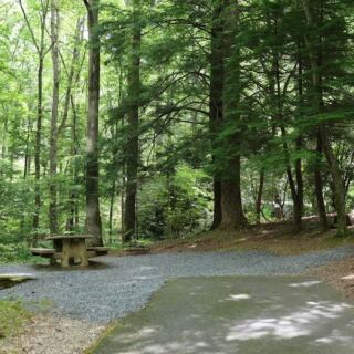 6 First-Come North Carolina Campgrounds Where Showing Up Is the Whole Plan
