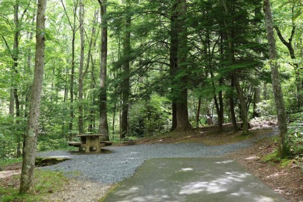 6 First-Come North Carolina Campgrounds Where Showing Up Is the Whole Plan