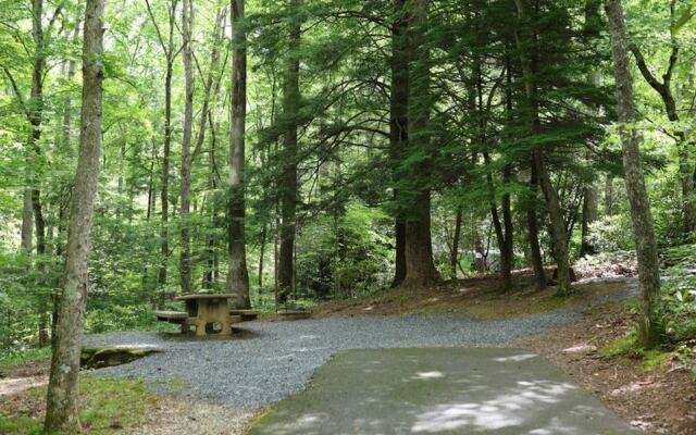 6 First-Come North Carolina Campgrounds Where Showing Up Is the Whole Plan