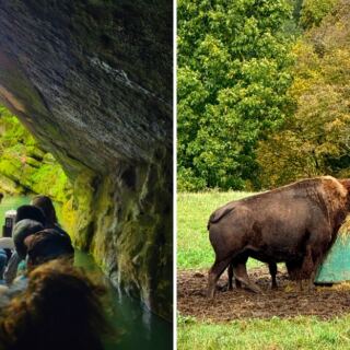 Explore a Pennsylvania Cave by Boat, Then See Wolves and Bison