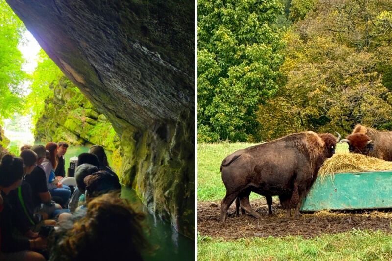 Explore a Pennsylvania Cave by Boat, Then See Wolves and Bison