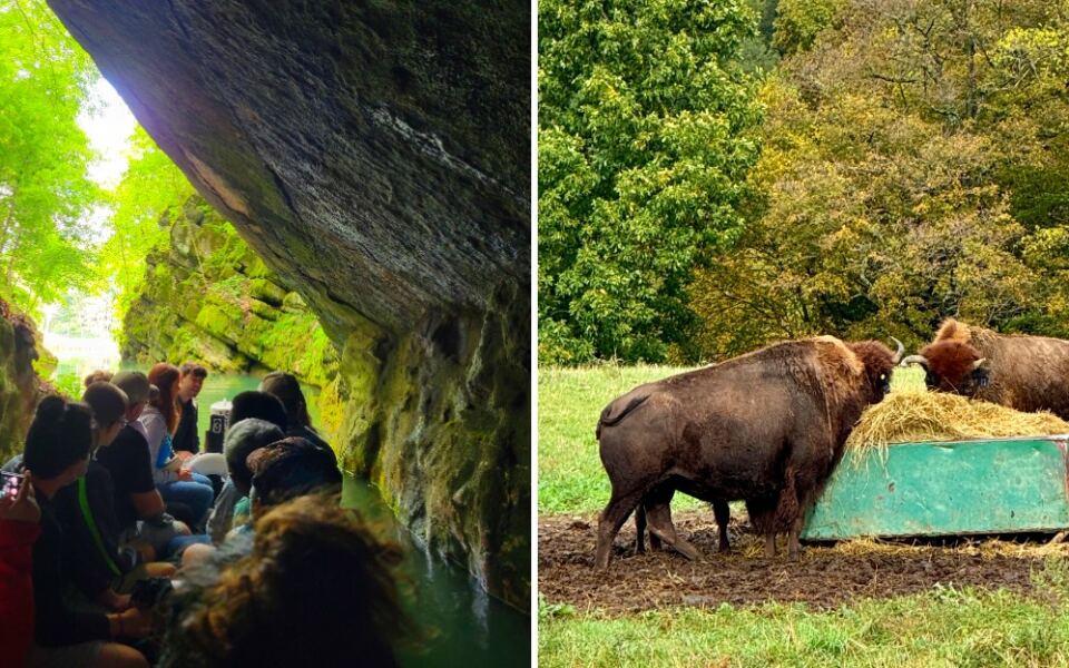 Explore a Pennsylvania Cave by Boat, Then See Wolves and Bison