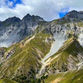 15 Best Places in Europe to See Wild Chamois