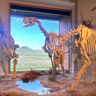 11 Nebraska Fossil Sites That Reveal an Ancient World