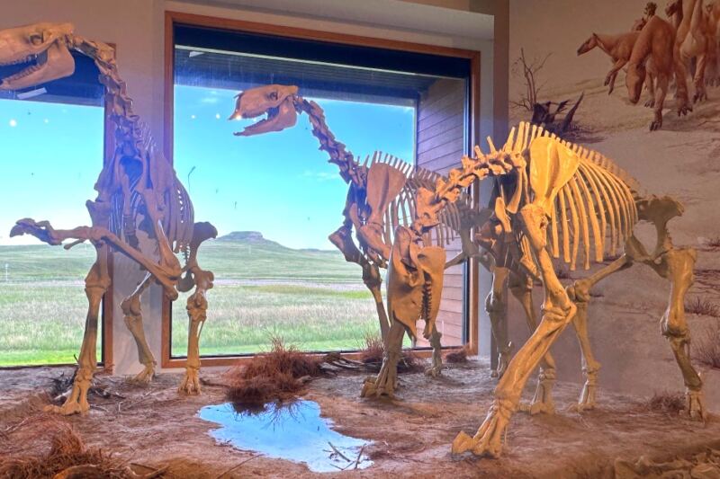 11 Nebraska Fossil Sites That Reveal an Ancient World