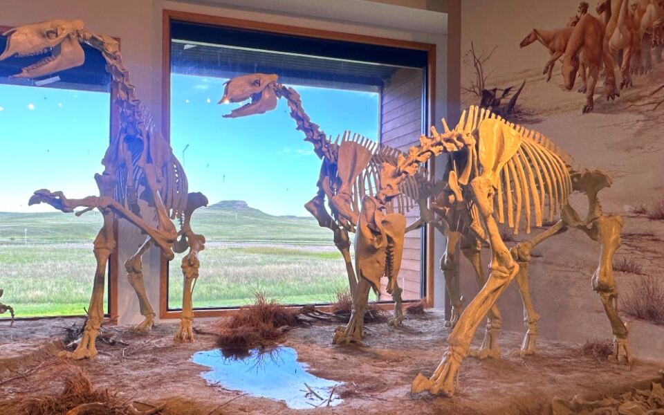 11 Nebraska Fossil Sites That Reveal an Ancient World