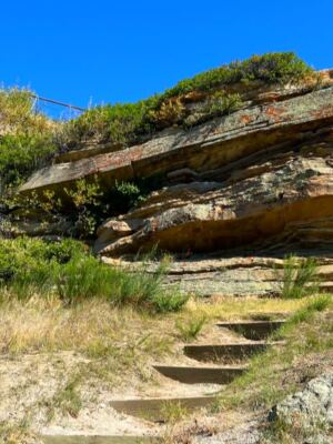 his Montana Cliff Hides 18 Feet of Bison Bones and 1,000 Years of History
