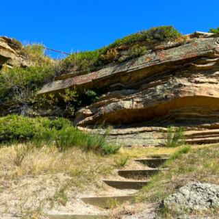 his Montana Cliff Hides 18 Feet of Bison Bones and 1,000 Years of History