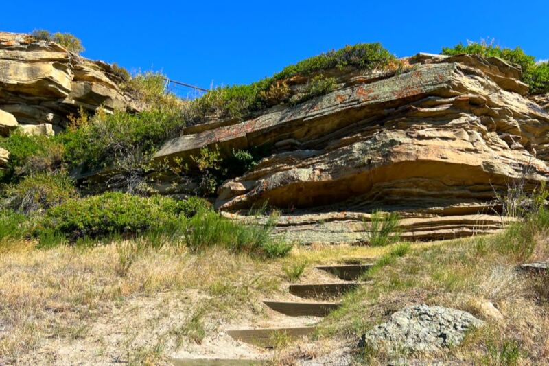 his Montana Cliff Hides 18 Feet of Bison Bones and 1,000 Years of History