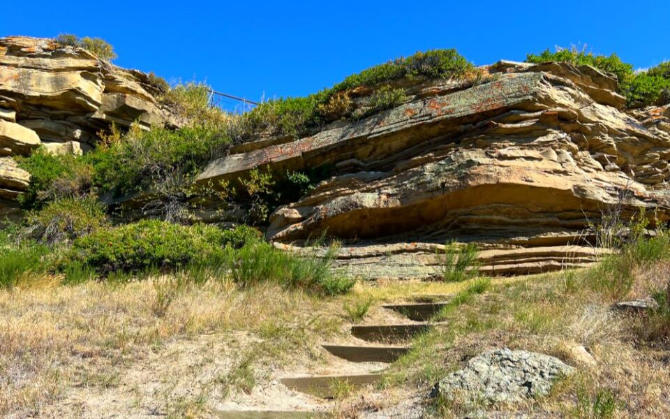 his Montana Cliff Hides 18 Feet of Bison Bones and 1,000 Years of History