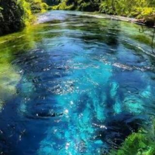 15 Spectacular Natural Pools and Springs With Incredibly Clear Water