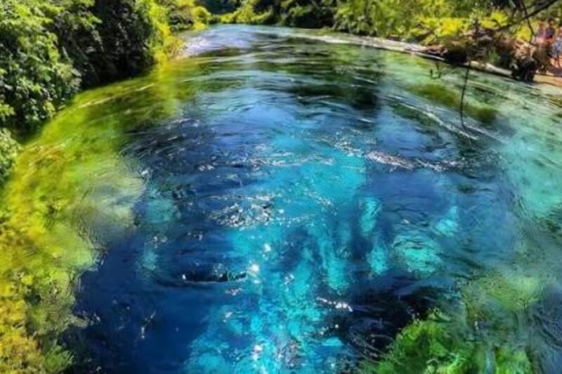 15 Spectacular Natural Pools and Springs With Incredibly Clear Water