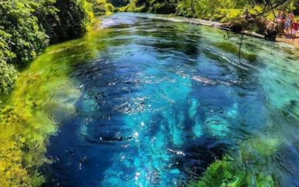 15 Spectacular Natural Pools and Springs With Incredibly Clear Water