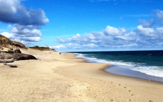 Shell Collectors Fill Their Buckets by Breakfast on These 8 Massachusetts Beaches