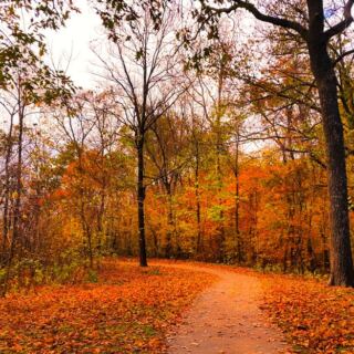 This Missouri State Park Has Incredible Views Just 40 Minutes From KC
