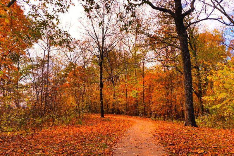This Missouri State Park Has Incredible Views Just 40 Minutes From KC