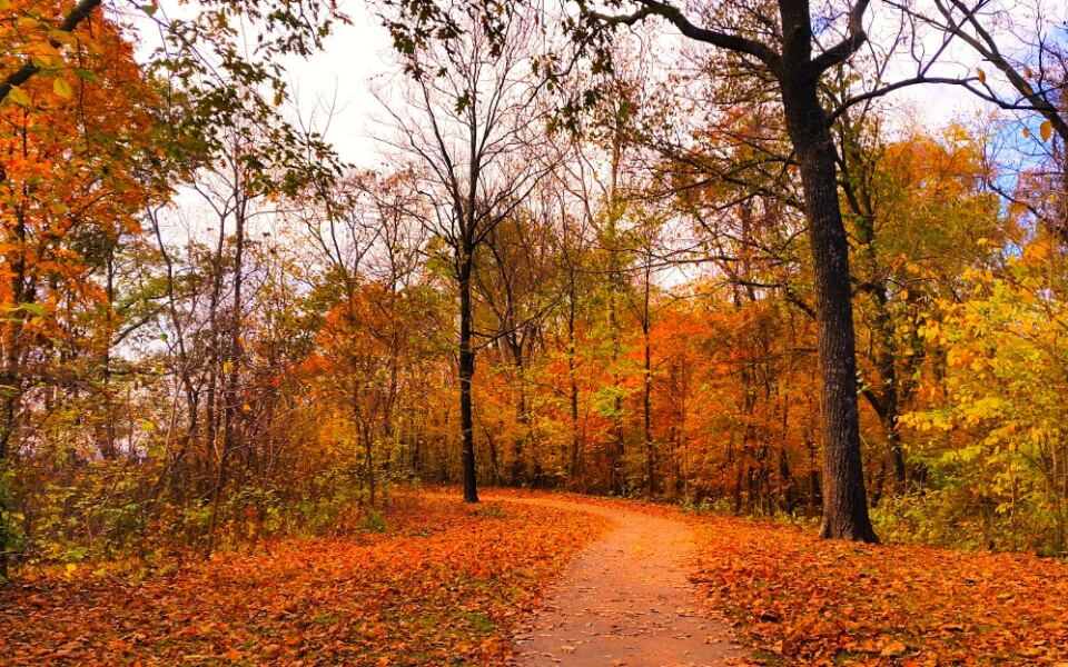 This Missouri State Park Has Incredible Views Just 40 Minutes From KC