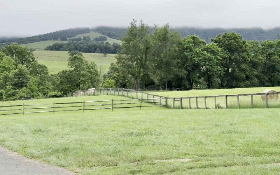 This Virginia State Park Has 1,860 Acres Of Meadows And Mountain Views