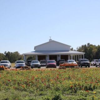 This North Carolina Sunflower Farm Turns Fall Into a Maze of Golden Blooms and Pumpkin Photo Spots