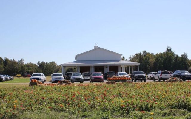 This North Carolina Sunflower Farm Turns Fall Into a Maze of Golden Blooms and Pumpkin Photo Spots