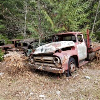 This Short Oregon Forest Hike Ends at an Abandoned Mining Town Nature Is Slowly Reclaiming