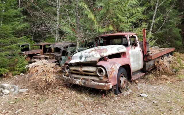 This Short Oregon Forest Hike Ends at an Abandoned Mining Town Nature Is Slowly Reclaiming