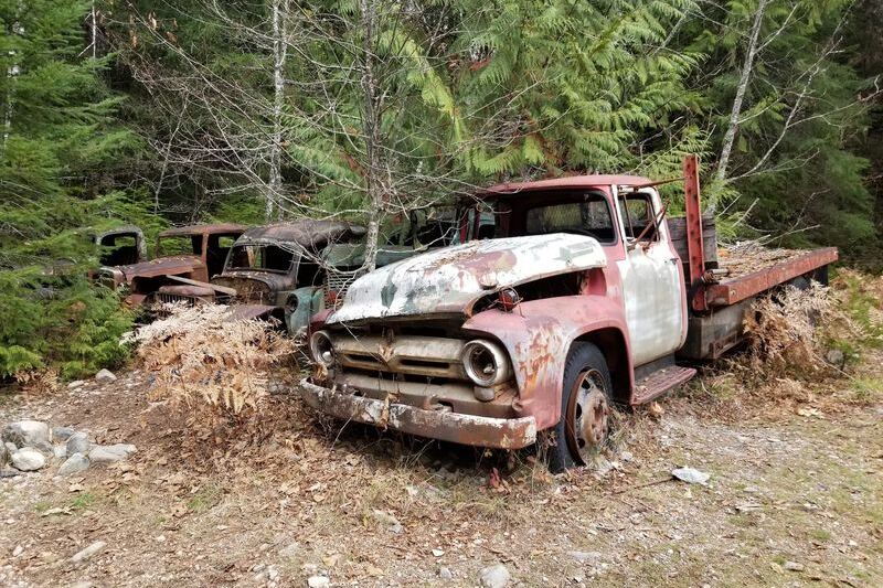 This Short Oregon Forest Hike Ends at an Abandoned Mining Town Nature Is Slowly Reclaiming