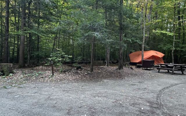 These 7 Massachusetts Hilltop Campsites Let You Sleep Under the Stars for About the Price of Takeout