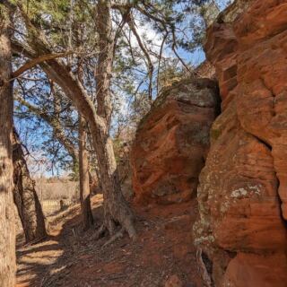 Hike Among Red Rock Canyon’s Hidden Hemlocks, Trees That Have No Business Growing in Western Oklahoma