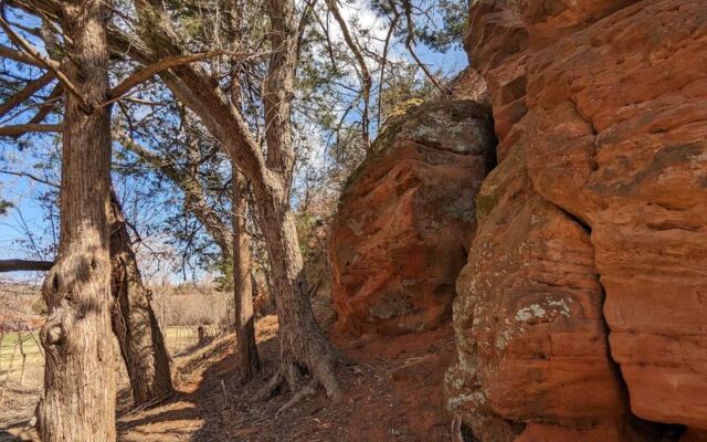 Hike Among Red Rock Canyon’s Hidden Hemlocks, Trees That Have No Business Growing in Western Oklahoma