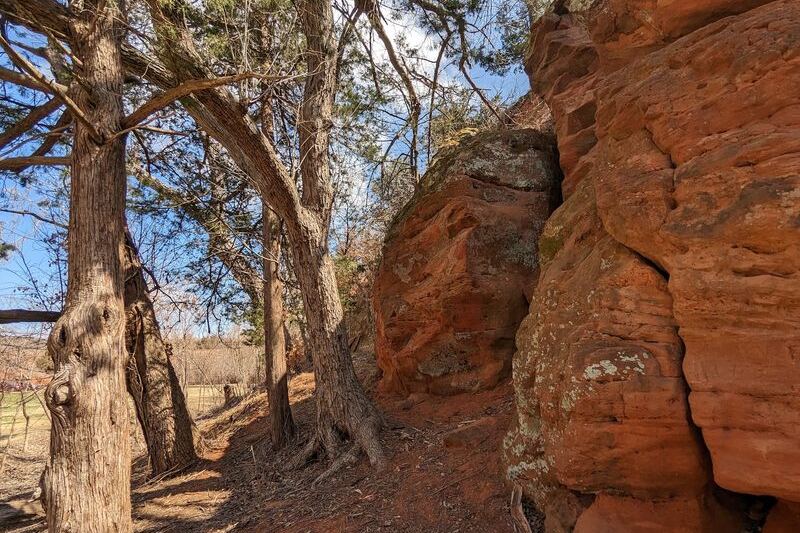 Hike Among Red Rock Canyon’s Hidden Hemlocks, Trees That Have No Business Growing in Western Oklahoma