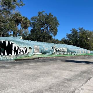 Florida’s Old-School Roadside Gator Park Near Christmas Still Lets You Hold a Baby Alligator