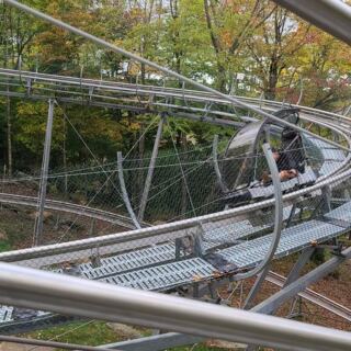 Gravity Takes the Wheel on This North Carolina Mountain Coaster Racing Through Fall Color at 27 MPH