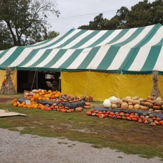 Seven Oklahoma Pumpkin Patches Where Kids Pick Their Own Before Halloween