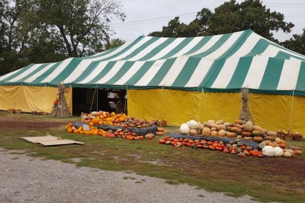 Seven Oklahoma Pumpkin Patches Where Kids Pick Their Own Before Halloween