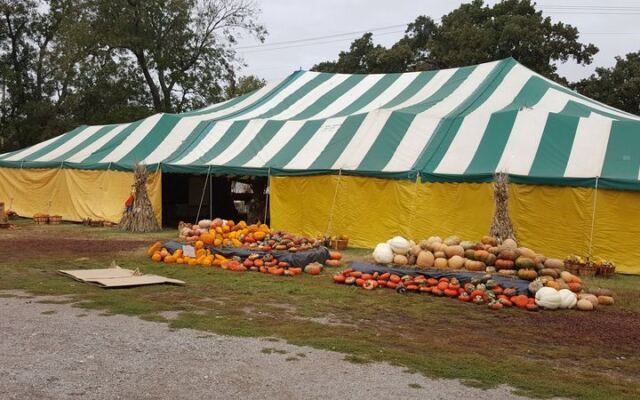 Seven Oklahoma Pumpkin Patches Where Kids Pick Their Own Before Halloween