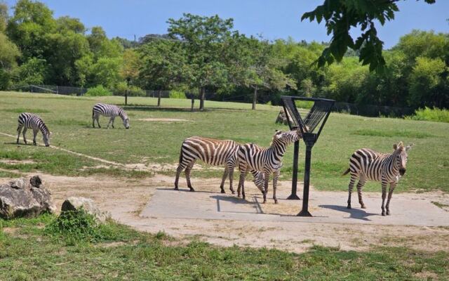 Keep Your Admission Money for Lunch at New Jersey’s Cape May County Zoo