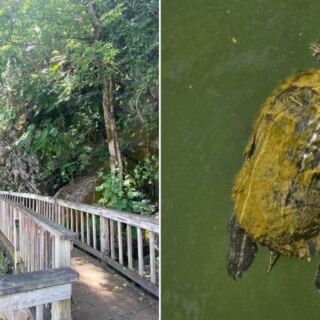 This Tennessee Nature Center Lets Kids Hold Snakes, Feed Turtles, and Hike Trails All in One Afternoon