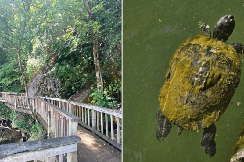 This Tennessee Nature Center Lets Kids Hold Snakes, Feed Turtles, and Hike Trails All in One Afternoon