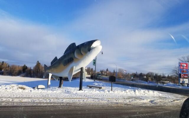 This Quirky Minnesota River Town Lives for Fishing, Frozen Lakes and Long Winters Spent Together