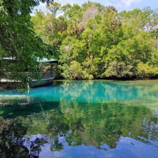 Underwater Manatee Viewing and Native Wildlife at Homosassa Springs Wildlife State Park in Homosassa, Florida