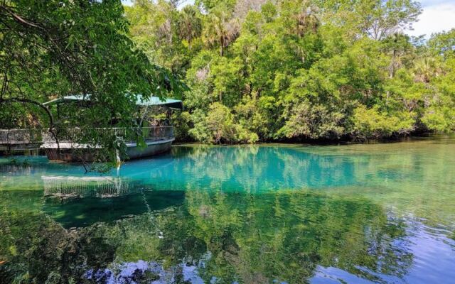 Underwater Manatee Viewing and Native Wildlife at Homosassa Springs Wildlife State Park in Homosassa, Florida