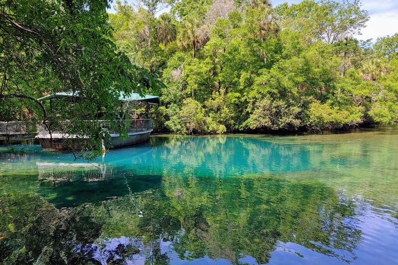 Underwater Manatee Viewing and Native Wildlife at Homosassa Springs Wildlife State Park in Homosassa, Florida