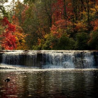 5 Free North Carolina Swimming Holes Where a Summer Afternoon Costs You Nothing